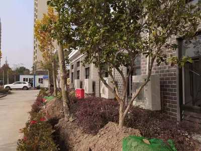 上海临港地区雨水泵站提升改造工程 关键要素与技术解析